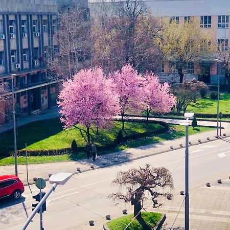 Bella Apartments Krusevac Bagian luar foto