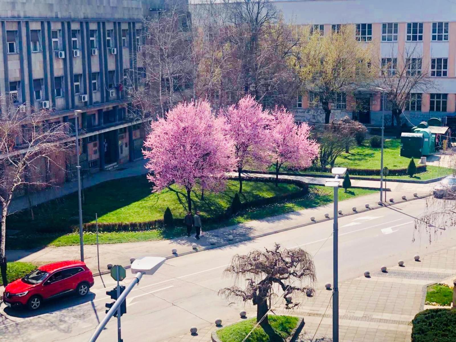 Bella Apartments Krusevac Bagian luar foto